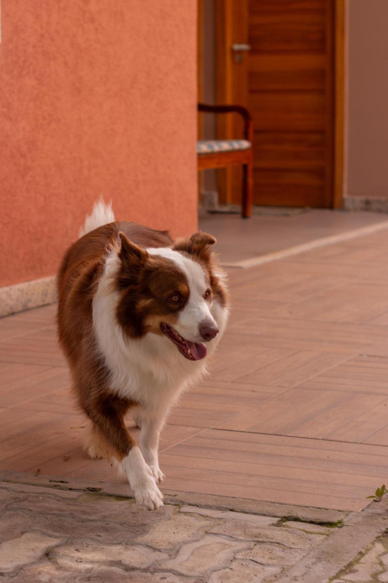 Villa Matilde มูกูเจ ภายนอก รูปภาพ